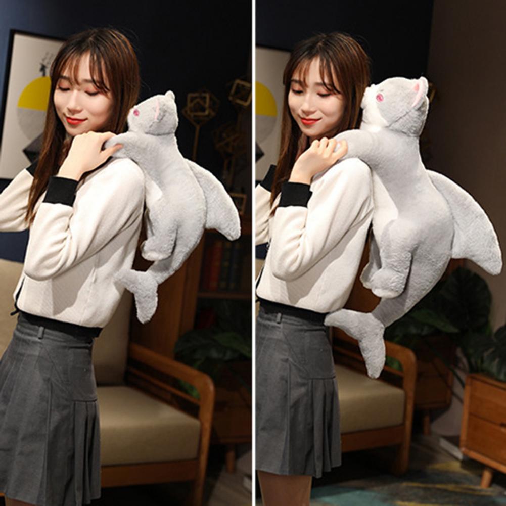 50/70cm   峭 Ȱ     ǫ ħ      ÷ 峭
